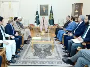 PM Shehbaz meets MQM delegation ahead of federal budget announcement