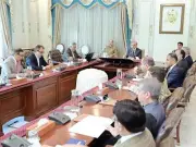 PM Shehbaz orders acceleration of Discos privatisation, emphasises transparency