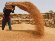 PM Shehbaz orders wheat supply to K-P via PASSCO to curb inflation