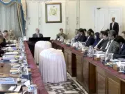 PM Shehbaz praises provincial cooperation in budget, stresses economic growth