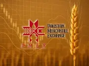 PMEX CEO Sees Commodity Exchange Key to Modernizing Pakistan's Markets