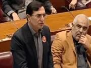 PTI Chairman Says Upcoming Budget Will Not Bring Relief to Public