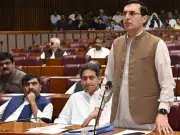 PTI Slams Federal Budget as 'Budget of Broken Promises' in Senate