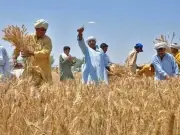 Punjab Budget 2026-27: Rs91.9 Billion for Agriculture, Rs132.54 Billion Total