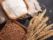 Punjab CM Approves Wheat Purchase to Stabilize Flour Prices