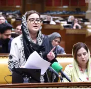 Punjab Minister Azma Bokhari Grieves Death of Cameraman Salman Alvi