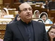 Punjab to Establish Unified Tax Authority on FBR Model