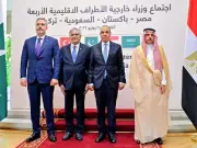 R-4 Foreign Ministers Meet in Cairo, Welcome Islamabad MoU on Iran-US Talks