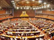 Senate panel slams errors in Dasu, Mohmand project documents