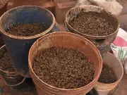 SHC Grants Protective Bail to SSP Accused in Gutka Trade Case