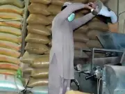 Sindh Minister Warns Hoarders of Strict Action Over Wheat Prices