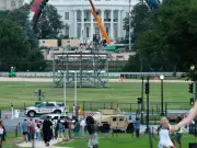 UFC's Rise from 'Human Cockfighting' to White House Lawn Event