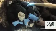 UK Police Handcuff Dying Student, Sparking Outrage