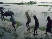 Uncertain Monsoon Threatens Pakistan Agriculture, Experts Warn