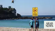 Woman Grabs Lifeguard's Paddleboard After Shark Attack Off Sydney Beach