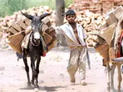 World Day Against Child Labour: Pakistan's Struggle Continues