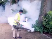 World Dengue Day Observed in Rawalpindi to Raise Awareness