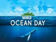 World Ocean Day 2024: Reimagining Our Relationship with the Sea