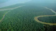 World Rainforest Day Observed Globally to Highlight Forest Protection and Climate Role