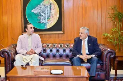 Dar, Bilawal Discuss AJK, Gilgit-Baltistan Situation