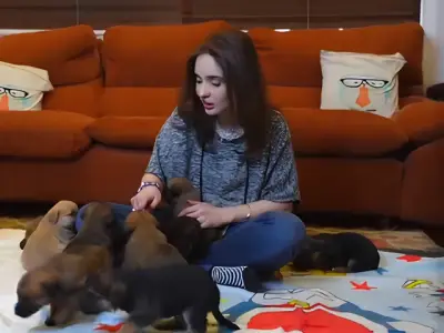 Juggun Kazim Urges Animal Care Amid Heatwave on Instagram