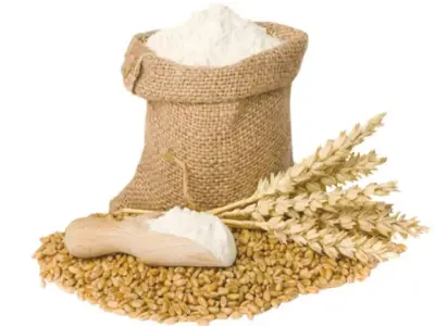 Karachi Flour Crisis: Market vs Official Price Gap Widens