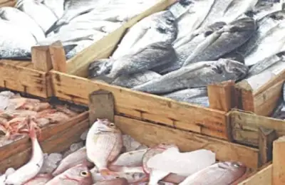 Pakistan's Seafood Exports Hit Record $568 Million in FY2025-26