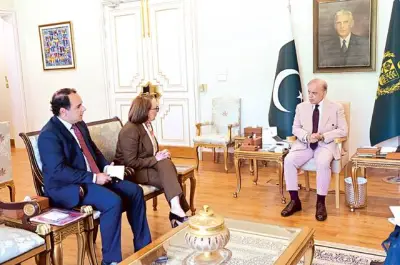 PM Shehbaz Urges US-Iran Restraint, Talks with Qatar, UN Candidates