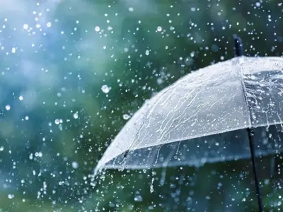 Punjab on High Alert as Heavy Rain, Urban Flooding Forecast