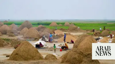 Saudi Fertilizer Support Eases Bangladesh Food Security During Hormuz Closure