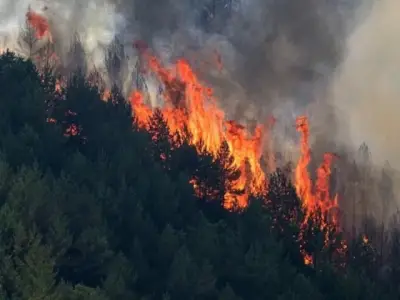 Spain Forest Fire Kills 12 in Andalusia's Almeria Province