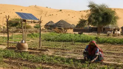 Thar Desert's Organic Agriculture: A Green Transformation in Pakistan's Harsh Landscape
