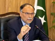 Ahsan Iqbal Invites Pakistani-American Business Leaders to Invest in Pakistan