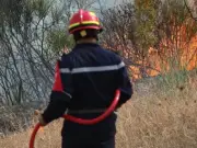 Algeria Battles 119 Fires Amid Heat Wave, Most Contained