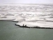 Balochistan Considers Legal Action Against Sindh Over Canal Water Shortage