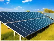 Business Leaders Urge Solar Energy Promotion at Lahore Expo