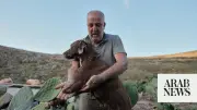 Lebanon Animal Rescuer Saves Pets and Livestock Amid War