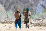 Maryam Nawaz Stresses Rural Economy Development on World Rural Day