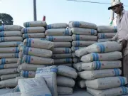 Pakistan Cement Demand Rebounds Strongly in FY26, Dispatches Hit 50.58M Tons