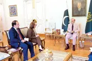 PM Shehbaz Urges US-Iran Restraint, Talks with Qatar, UN Candidates