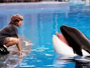 Warner Bros Developing Free Willy Reboot with Russo Brothers' AGBO