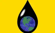 Why Americans Are Obsessed with Toxins: Experts Explain the Fixation