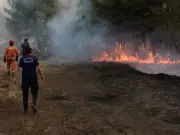 Wildfire kills 11 in Andalusia, Spain, tourists among victims