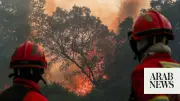 Wildfires Rage in Portugal and Greece, Prompting EU Reinforcements